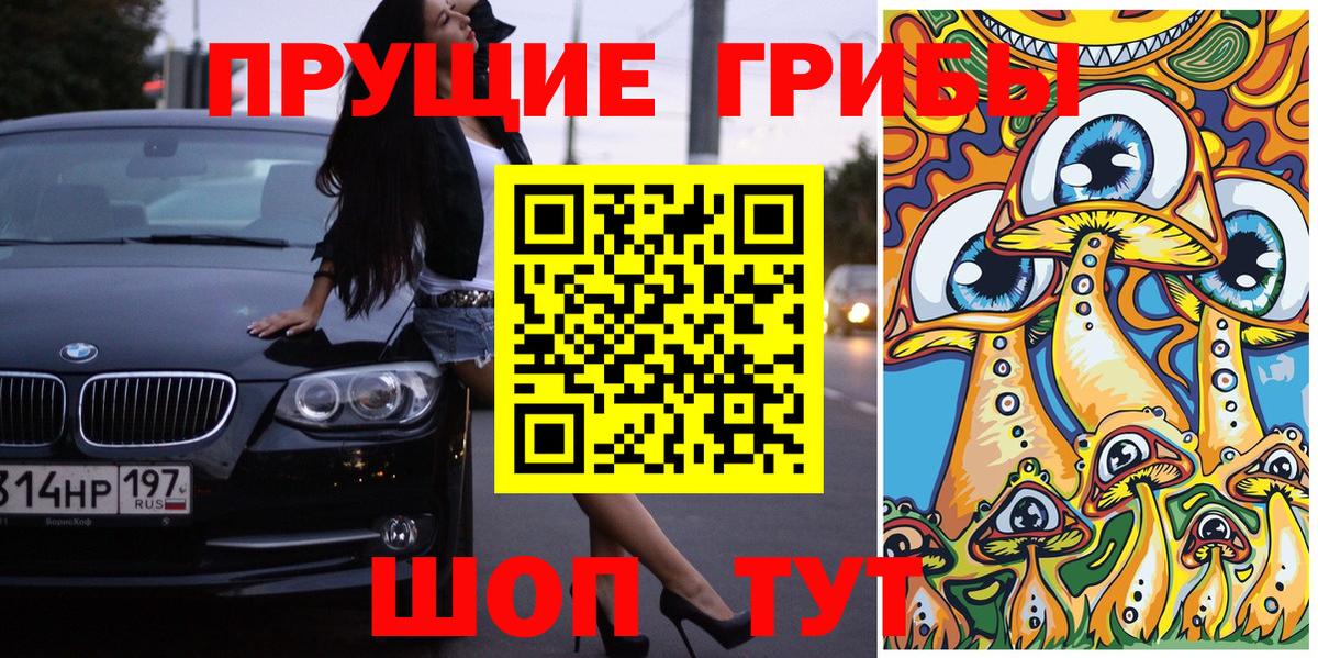 Галлюциногенные грибы Cubensis  Вход с VPN  Камышлов 
