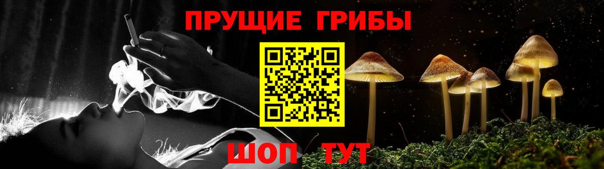 Галлюциногенные грибы Psilocybe Камышлов
